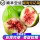 【順豐航空】山東威海青皮無(wú)花果 軟糯香甜 新鮮無(wú)花果水果 3斤約24-30個(gè) | 70%客戶選擇