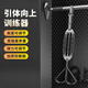 DONIUZ引體向上助力帶中考單杠拉力訓(xùn)練輔助器男士健身可調(diào)節(jié)阻力彈力繩 五根可調(diào)節(jié)彈力帶【一根約30磅】