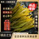 唯茶正宗黃金芽特級茶葉2025年新茶早春頭采嫩芽珍稀安吉明前白茶罐裝 500g