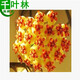 新苗特價(jià)球蘭盆栽球蘭花苗小苗 球形花卉 球蘭花室內爬藤花卉盆栽 9號地中海 不含盆