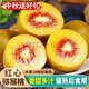 哆莫陽(yáng)光四川紅心獼猴桃甜大果奇異果生當季新采摘孕婦寶寶禮盒水果 甄選大果20粒裝（單果100g+）