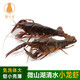 貓撲魚(yú)（mao pu yu）微山湖清水小龍蝦鮮活 活體 新鮮養殖特大活蝦 鮮活龍蝦 小龍蝦4-6錢(qián)（3斤）60-75只