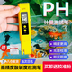 SMVPph檢測儀ph檢測筆ph測試筆酸堿檢測儀酸堿度ph測試筆ph計ph值檢測 PH測試筆【黃色】 【操作簡單 精度高】