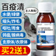 OIMG百疫清拉稀水便綠便鴿藥新城疫嗦囊炎鴿子用品藥鴿子藥大全常見病 大全常見病