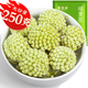福茗源茶葉養(yǎng)生茶 綠蘿花茶葉 西藏綠蘿花結(jié)香花茶雪麗花茶滋補(bǔ)袋裝250g