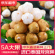 優(yōu)味集泰國(guó)龍宮果【順豐JD】進(jìn)口熱帶水果孕婦龍貢愛情果稀有獵奇大果 250g凈重裝（商超級(jí)5A果嘗鮮） 商超級(jí)5A大果