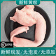 新鮮不泡發(fā)無添加毛肚牛百葉帶底板生鮮大片千層心管黃喉火鍋食材 1斤新鮮牛黃候