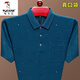 啄木鳥(niǎo)（TUCANO）爸爸t恤男士短袖夏季中年男裝純棉帶口袋polo 衫夏裝半袖上衣服 2220哈青 180/2XL建議150170斤
