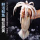 新鮮魷魚(yú)整只鮮活速凍墨魚(yú)烏賊八爪冷凍 中小號(hào)魷魚(yú) 1g(凈重)  3斤裝
