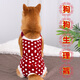 柴犬生理褲狗狗生理褲母狗女狗姨媽褲安全褲衛(wèi)生褲經期防騷擾柴犬泰迪防交配夢雷寵 酒紅背帶生理褲 中號號適合15-25斤