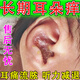 耳朵消炎可搭藥兒童耳痛耳癢滴耳油耳道發(fā)炎流膿耳疼耳鳴耳聾流膿濕臭耳朵癢止癢抑菌中耳炎專(zhuān)用 單盒裝