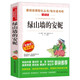 綠山墻的安妮/愛(ài)閱讀課程化叢書(shū)兒童文學(xué)名著(zhù)青少版三四五六年級快樂(lè )讀書(shū)吧 成長(cháng)故事
