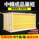 福美養(yǎng)蜂 中蜂成品巢框帶框巢礎(chǔ)蜂具養(yǎng)蜂專(zhuān)用工具蜜蜂蜂箱全套裝好巢脾框 中蜂成品巢框10個(gè)裝