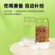 海伊朵鳥類飲水器自動(dòng)下水器喂食器鳥籠蘆丁雞水壺鳥喝鳥籠配件鸚鵡水壺 自動(dòng)飲水喂食器【兩個(gè)裝】