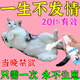 貓咪發(fā)情抑制情緒舒緩藥公母貓通用禁情抑情片粉寵物鎮靜劑防亂叫 1瓶寵物禁情噴劑