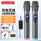 新科H11無(wú)線(xiàn)麥克風(fēng)一拖二通用萬(wàn)能話(huà)筒家庭KTV唱歌演講舞臺K歌會(huì )議音箱音響功放車(chē)載 H18【旗艦版】雙話(huà)筒【防嘯叫】