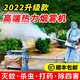 摩亨噴霧器彌霧機消毒脈沖大棚果樹煙霧機稻田小麥打藥機養(yǎng)殖場迷霧機 35A升級（高端脈沖熱力煙霧機）