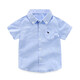微曼小鹿 童裝男 夏季短袖襯衫童裝白襯衣打底衫兒童襯衣短袖襯衫上衣 233 短袖小狗藍色襯衫 150  (建議140-150cm身高穿)