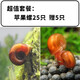 仟蕓  黃金螺超大鮑魚螺觀賞螺蘋果螺螺淡水清潔水蝸牛清理魚缸 蘋果螺0.5cm/25只送5只