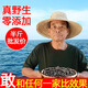 【產地京配】老漁民大連底播淡干海參干貨野生遼刺參海參禮盒批發(fā) 9A家庭裝9年 500克 50-70頭