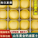 譯優(yōu)農(nóng)山東煙臺(tái)奶油富士蘋果水果新鮮牛奶黃金蘋果時(shí)令當(dāng)季 帶箱9.5-10斤果王【特選裝】