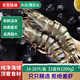 隆港匯活凍特大號黑虎蝦 大蝦類(lèi) 老虎蝦對蝦斑節蝦 鮮活急凍 海鮮禮盒 3盒裝18-20只/盒 1350g(凈重)