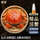 【活蟹】蟹爵大閘蟹鮮活螃蟹現貨生鮮河蟹實(shí)物水產(chǎn)海鮮禮盒 公3.5-3.8兩母2.5-2.8兩4對8只