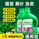 播種心情 植物通用型濃縮營(yíng)養液水培家庭種花種菜蔬菜花卉多肉綠植盆栽 植物通用營(yíng)養液1瓶500ml 無(wú)規格