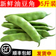 辰實(shí) （順豐 ）東北油豆角 九月青豆角 新鮮蔬菜一點(diǎn)紅豆角 開鍋爛 5斤 （劃算）