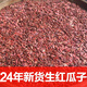 戈利生紅瓜子生貨原味生的西瓜子新貨散裝批發(fā)紅瓜籽農(nóng)家自銷粒粒飽滿 精品新貨生紅瓜子 2斤