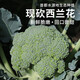 密農人家 農家生態(tài)種植 西蘭花 鮮嫩可口西藍花 新鮮蔬菜花椰菜綠菜花300g