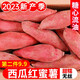 栗品優(yōu) 紅薯 沙地番薯5斤裝黃心糖心甜蜜薯 農家新鮮現挖 地瓜