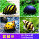 AIPHAROW觀(guān)賞螺活體淡水蘋(píng)果螺除藻螺洋蔥螺斑馬螺紫紋羊角螺工具螺金剛螺 除藻螺套餐3：4種共6只