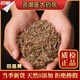 北京同仁堂同質(zhì)原料 中藥材特級野生田基黃500g克新貨干地耳草黃花草雀舌草田基王 精選田基黃500g