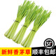 辰實(shí)（順豐發(fā)貨中）新鮮香茅草 檸檬香茅 香料菜 泰國(guó)冬陰功湯調(diào)料 500g香茅草