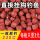 釣龍王（DiaoLongWang）狂釣大師 鯽魚餌 鯉魚草魚羅非顆粒餌料 黑坑釣魚大師 垂釣魚餌料 釣魚大師大小顆粒各2瓶