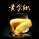 【清潔魚(yú)】黃金泥鰍觀(guān)賞魚(yú)冷水黃金泥鰍金龍耐活好養觀(guān)賞泥鰍 16-20厘米 2條 公母1對可繁殖
