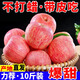 【超級低價(jià)】紅富士蘋(píng)果正宗洛川蘋(píng)果新鮮脆甜水果冰糖心整箱批發(fā) 實(shí)惠小果【50-60mm】?jì)糁?斤裝 限時(shí)特賣(mài)：只剩00:05分