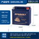 猛獅電池摩托車(chē)電瓶12v通用哈雷750/883/X48/1200n硬漢V75泛美1250adv