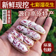 青櫻紅荔2025年新鮮七彩花生帶殼濕花生現(xiàn)挖現(xiàn)發(fā)帶泥云南黑花生鮮農(nóng)家花生 新鮮七彩濕花生 5斤 【現(xiàn)挖微泥】