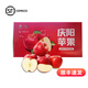 慶陽蘋果 QINGYANG APPLE紅富士蘋果新鮮蘋果人類第四個蘋果當(dāng)季現(xiàn)摘新鮮富士水果禮盒脆甜 慶陽蘋果 一級果 18-20枚 11斤