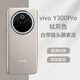 魯深高端素皮vivo Y300Pro手機殼輕薄Y300Pro+電鍍邊保護防vivo Y300滑防摔V2410A保護套男女款 鈦灰色 vivo Y300Pro/Y300Pro+ 素皮大孔電鍍睿臻【贈保護