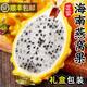 甘賢（GANXIAN）海南麒麟燕窩果（順豐空運(yùn)多地隔日達(dá)）黃金火龍果精選樹(shù)上熟禮盒 （單果3-4兩）4斤禮盒裝