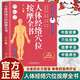 正版書(shū)籍 人體經(jīng)絡(luò )穴位按摩全書(shū) 張振 編 多種常見(jiàn)病對癥穴位中醫按摩療法 日常養生按摩保健原理基本手法工具 中醫古籍出版社 人體經(jīng)絡(luò )穴位按摩全書(shū)