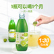 淯苗香檬原汁進(jìn)口果汁nfc非濃縮檸檬汁原汁烘焙調酒0添加劑冷榨檸檬液 （入門(mén)嘗鮮裝）300ml/瓶 玻璃瓶包裝