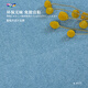 TOLI 東理地毯拼接自粘防滑加厚隔音進(jìn)口環(huán)保兒童房滿(mǎn)鋪40*40cm多色 AK2715 40cm*40cm