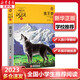 狼王夢 升級版 動物小說大王沈石溪品藏書系 三四五年級課外閱讀推薦 兒童讀物
