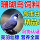 珊瑚鳥(niǎo)食飼料專(zhuān)用吃的食物提性壯膘斗鳥(niǎo)料唱鳥(niǎo)料珊瑚鳥(niǎo)幼鳥(niǎo)通用糧 500g 1袋 【中藥成分】提性壯膘