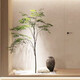 森空間 仿真綠植室內(nèi)假樹榕樹造景裝飾侘寂風(fēng)仿真樹落地盆栽擺件 榕樹C款180cm不含圖片盆