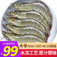 沃鮮匯蝦 厄瓜多爾白蝦 生鮮蝦類(lèi)  鹽凍蝦水凍蝦 凈重1.65KG 15-18厘米 大號 水凍冰鮮工藝
